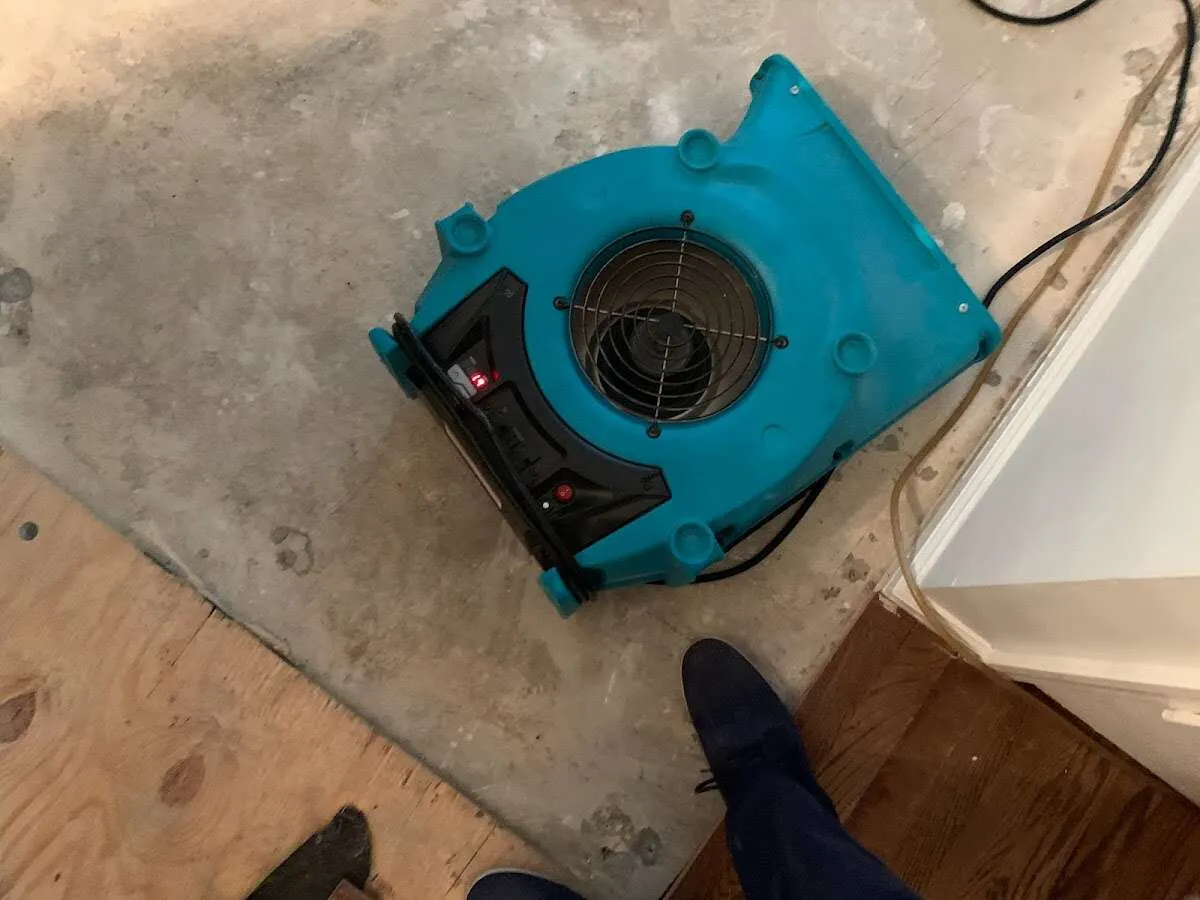 Air mover drying subfloor during Commercial Water Damage Restoration in Brookhaven